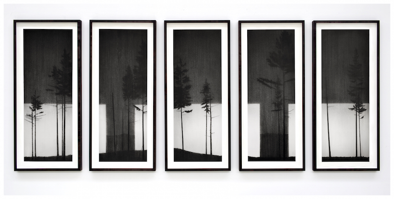 Reece Jones, Multiplex