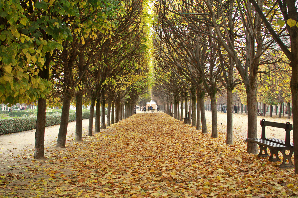 Palais Royal