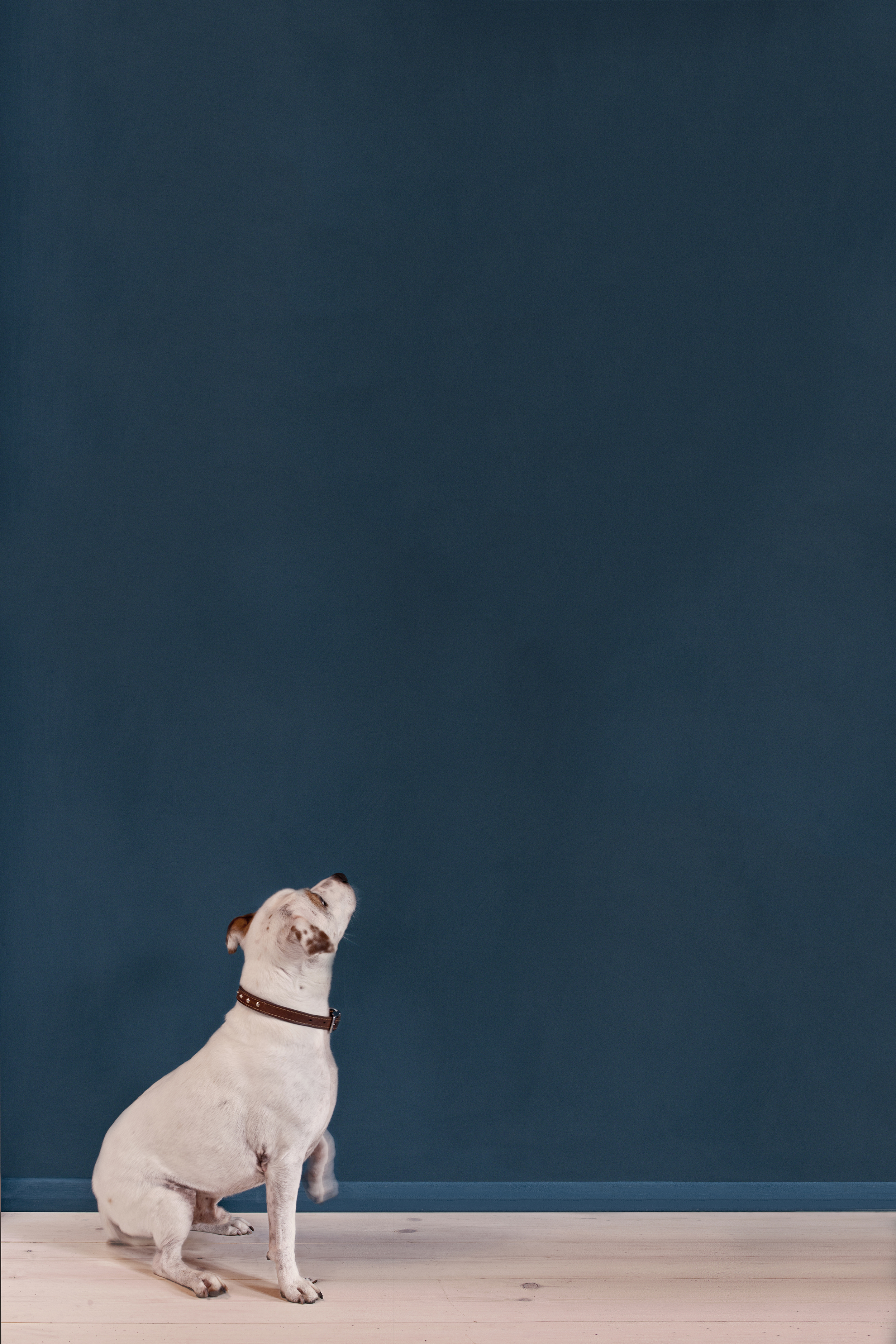 Aubusson Blue