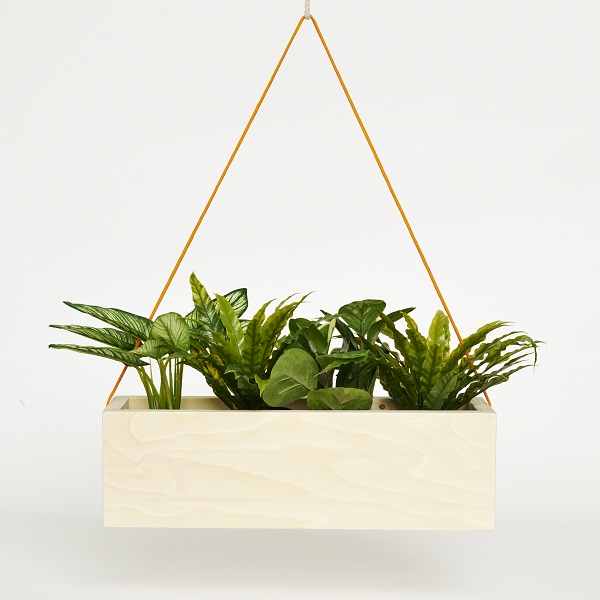 Plywood planter, £29.99, Factory Twenty One.