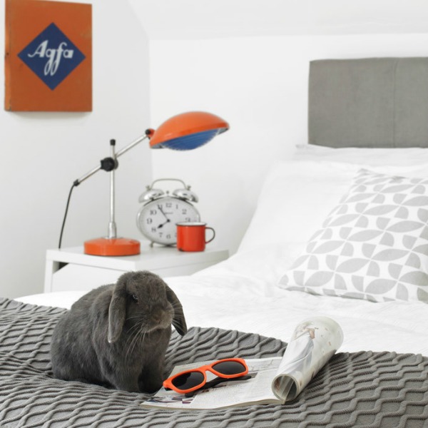 ©Chloe Beattie and Dale Broome for Heart Home mag