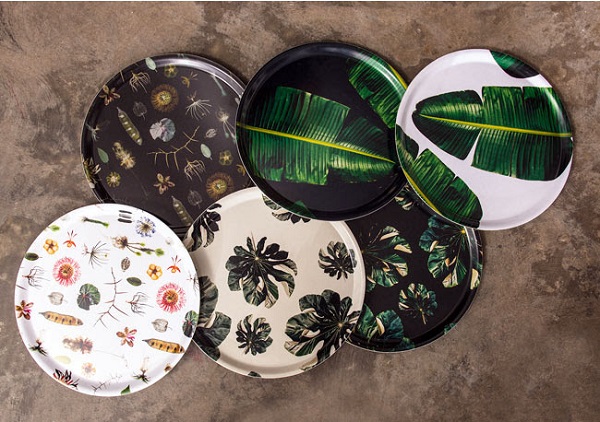 Clinton Friedman Trays