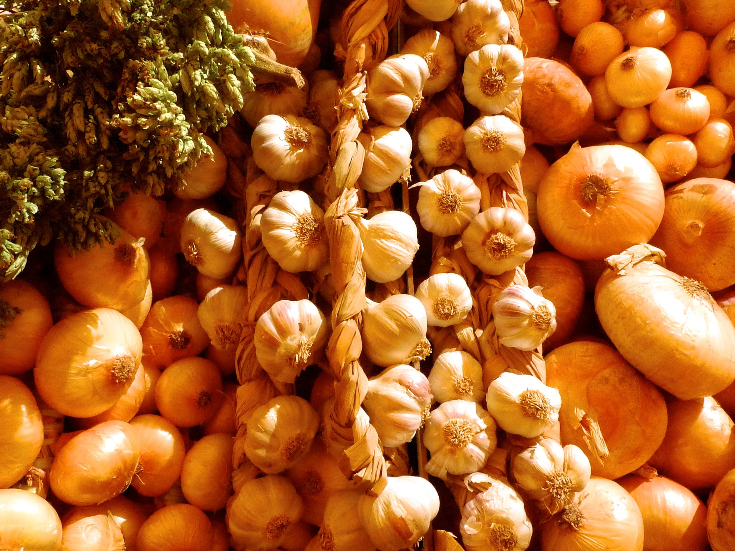 Garlic and onion wreaths