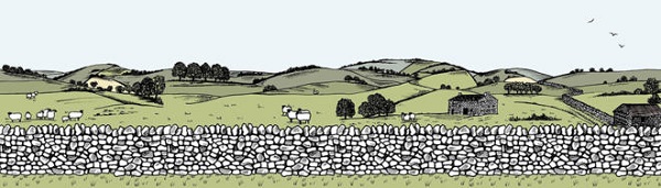 Country Lane