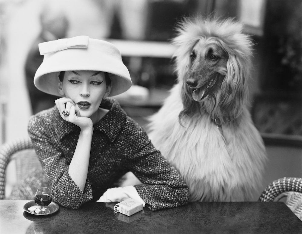 Dovima with Sacha, cloche and suit by Balenciaga, Café des Deux Magots, Paris, 1955. Photograph by Richard Avedon © The Richard Avedon Foundation