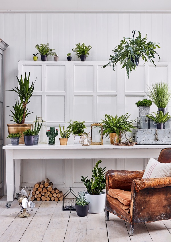 Foliage from £4.99, Succulents from £1.99, Houseplant Pots from £5.99, Cactus Vase £16.99, Gold Geometric Lantern £7.99, Small Gold Metal Lantern £19.99, Greenhouse Candle Holder £16.99