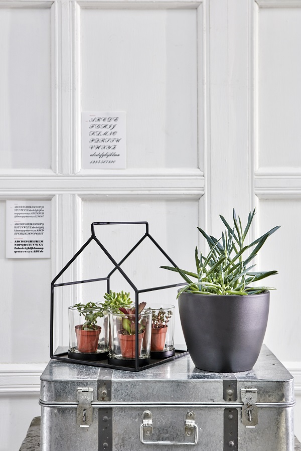 Green Tea Light Holder £16.99, 6cm Succulents from £1.99, 15cm Succulents from £4.99, Matt Black Planter £6.99