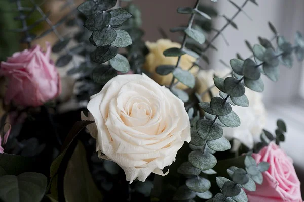 The Magic Flower Co (1).jpg