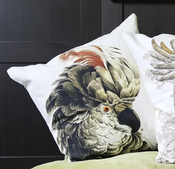 Green Parrot Velvet Cushion, £45. Available Now.