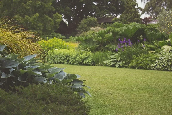 garden-grass-green-7283.jpg
