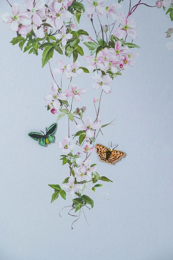 Clematis_Magnetic_Blue_Detail_SianZeng.jpg