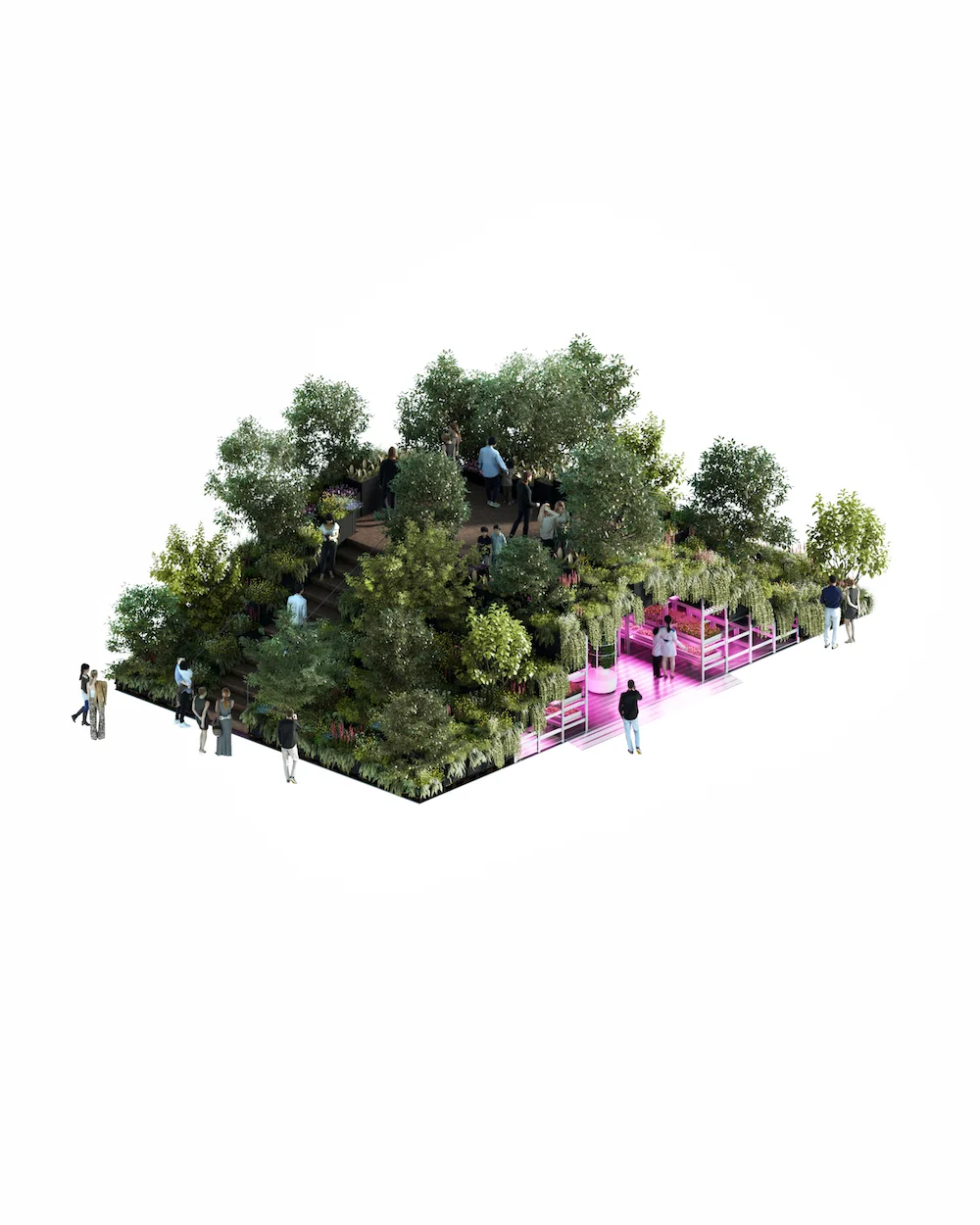 TD_Chelsea Flower Show_01.jpg