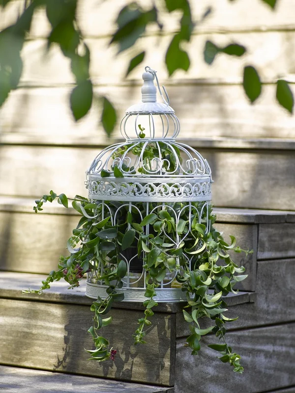 Decorating Ideas for the Urban Garden (1).jpg