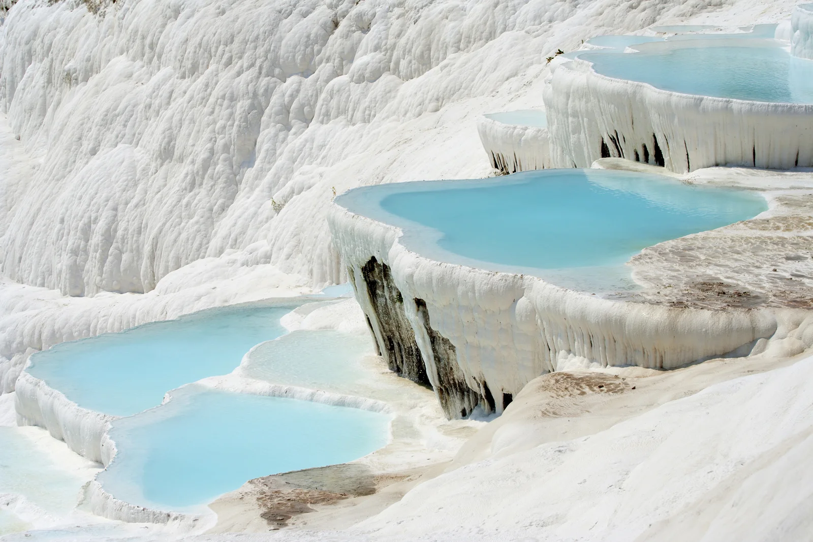 iStock_000018752589_Large.jpg