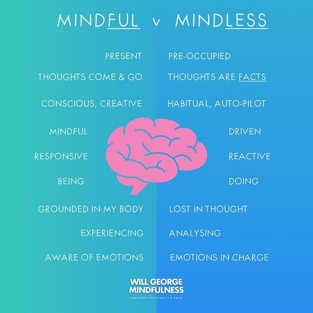 In mindfulness training we learn to recognise our current state of mind (pre-occupied, anxious, distracted, self-critical etc) and purposefully shift our mental gear back into awareness of the present.

Check in with yourself right now and notice whi