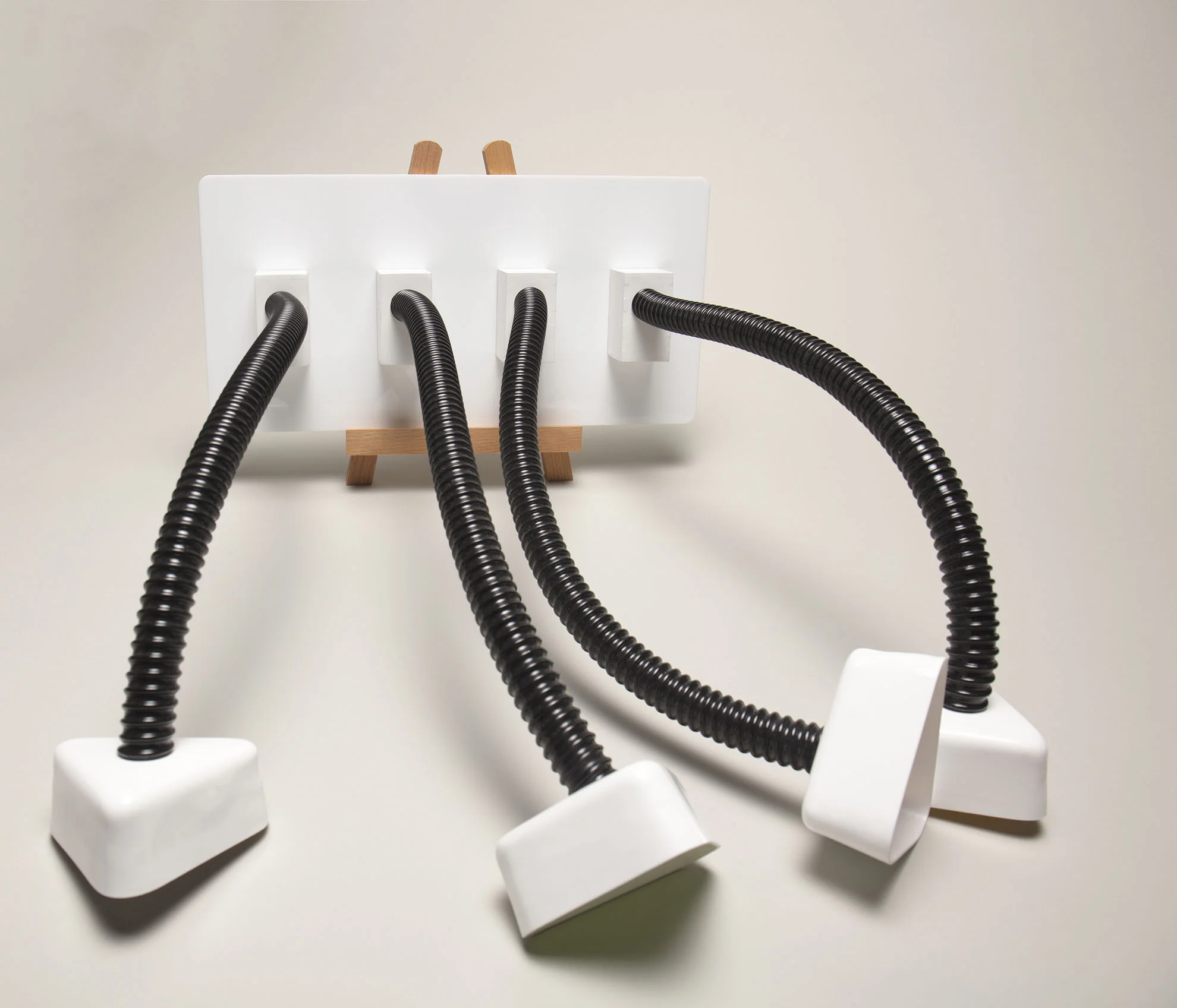 Smell delivery device (WEB).jpg