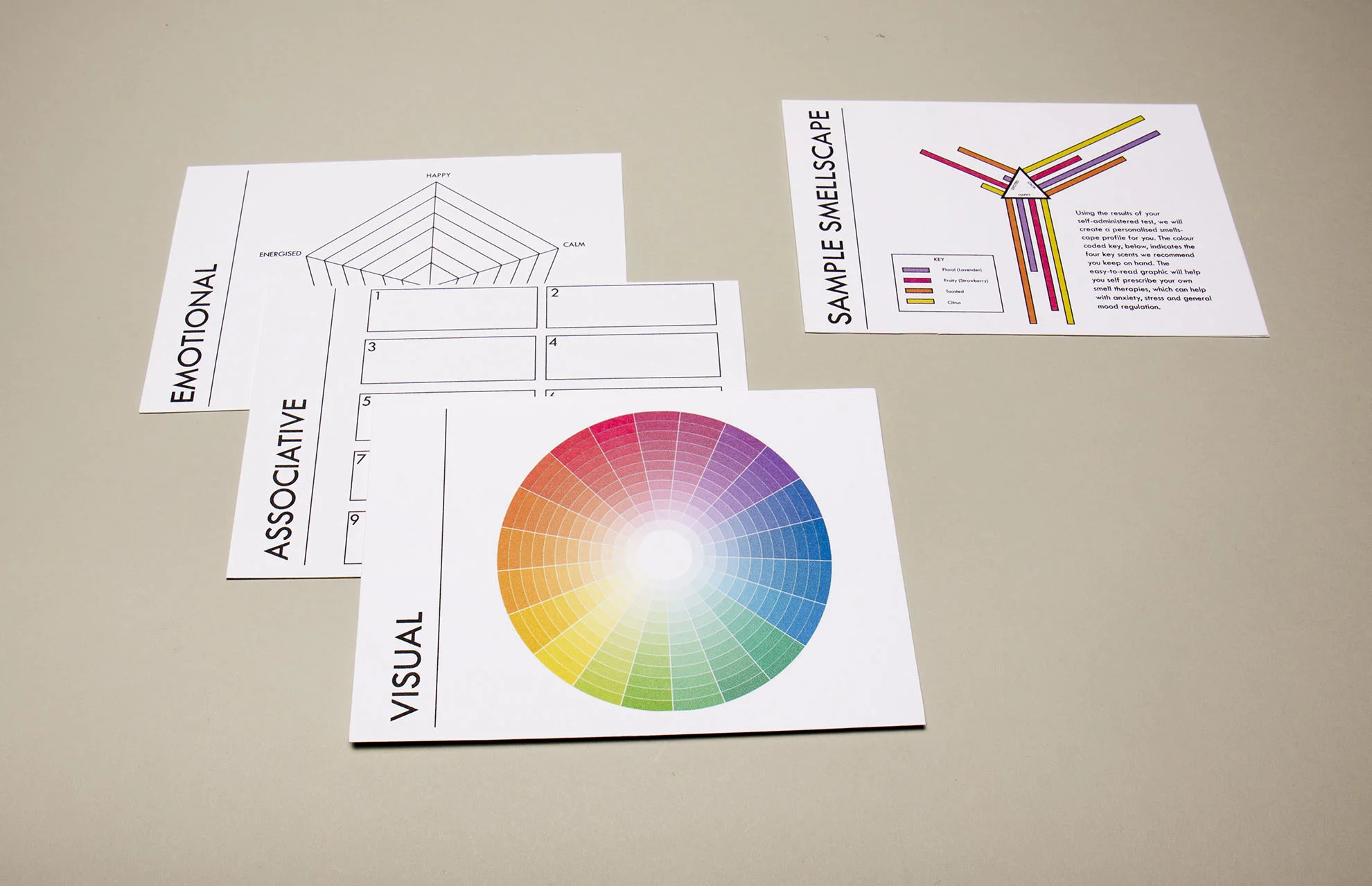 Layout (WEB).jpg