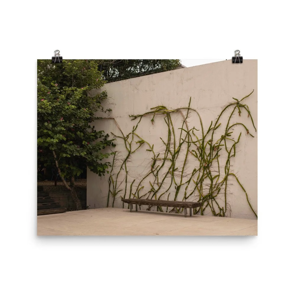 enhanced-matte-paper-poster-(in)-16x20-transparent-65c8f56deb79c.jpg
