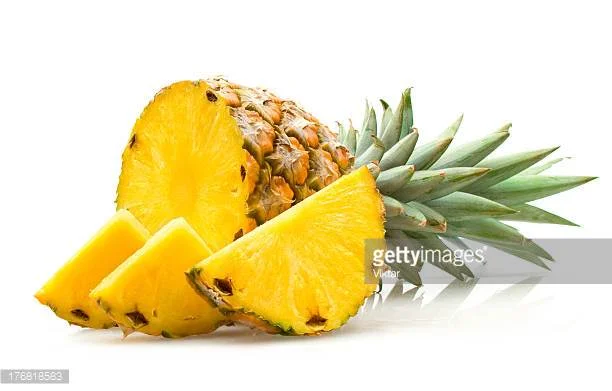 Tropical Sundays at Phipps