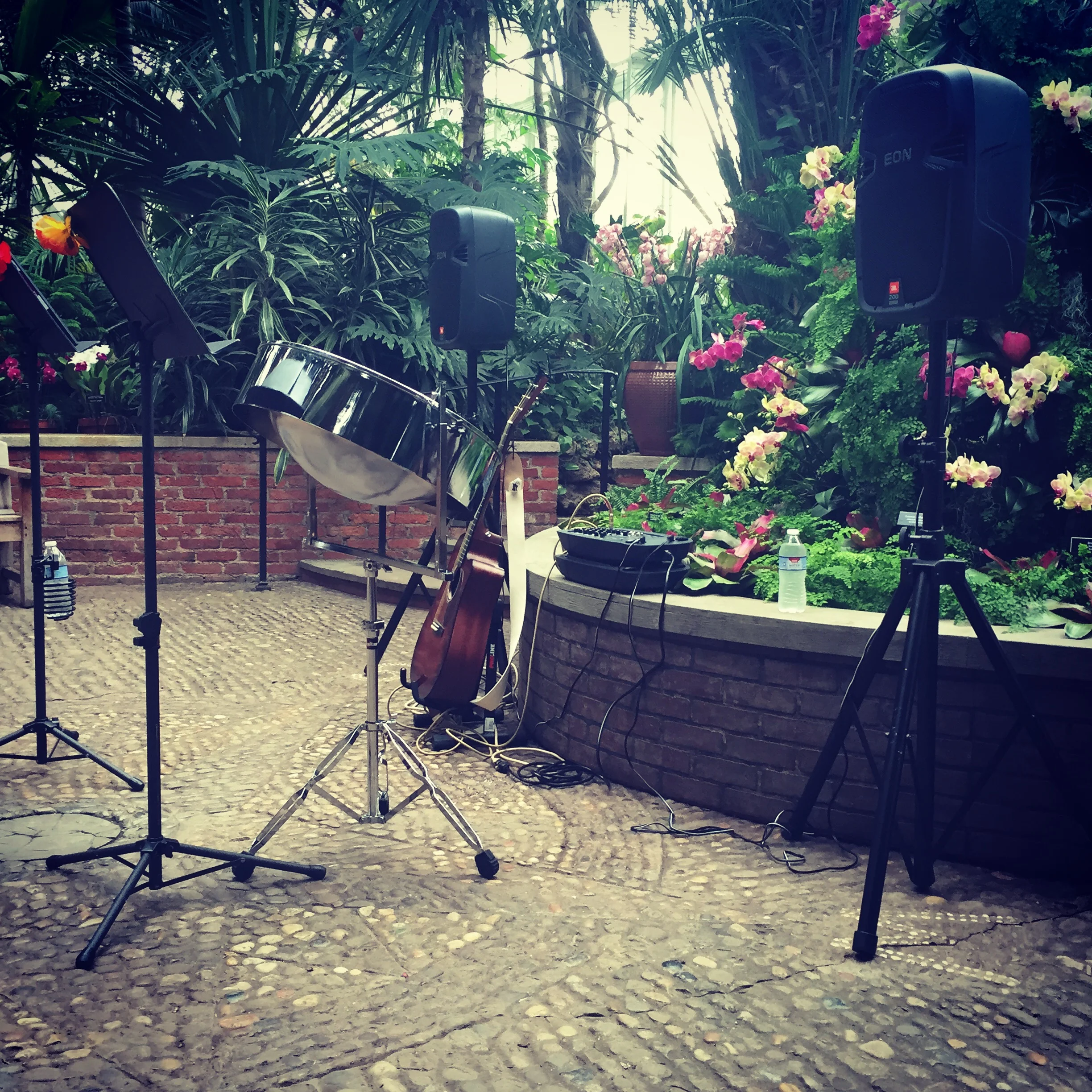 Tropical Sundays at Phipps