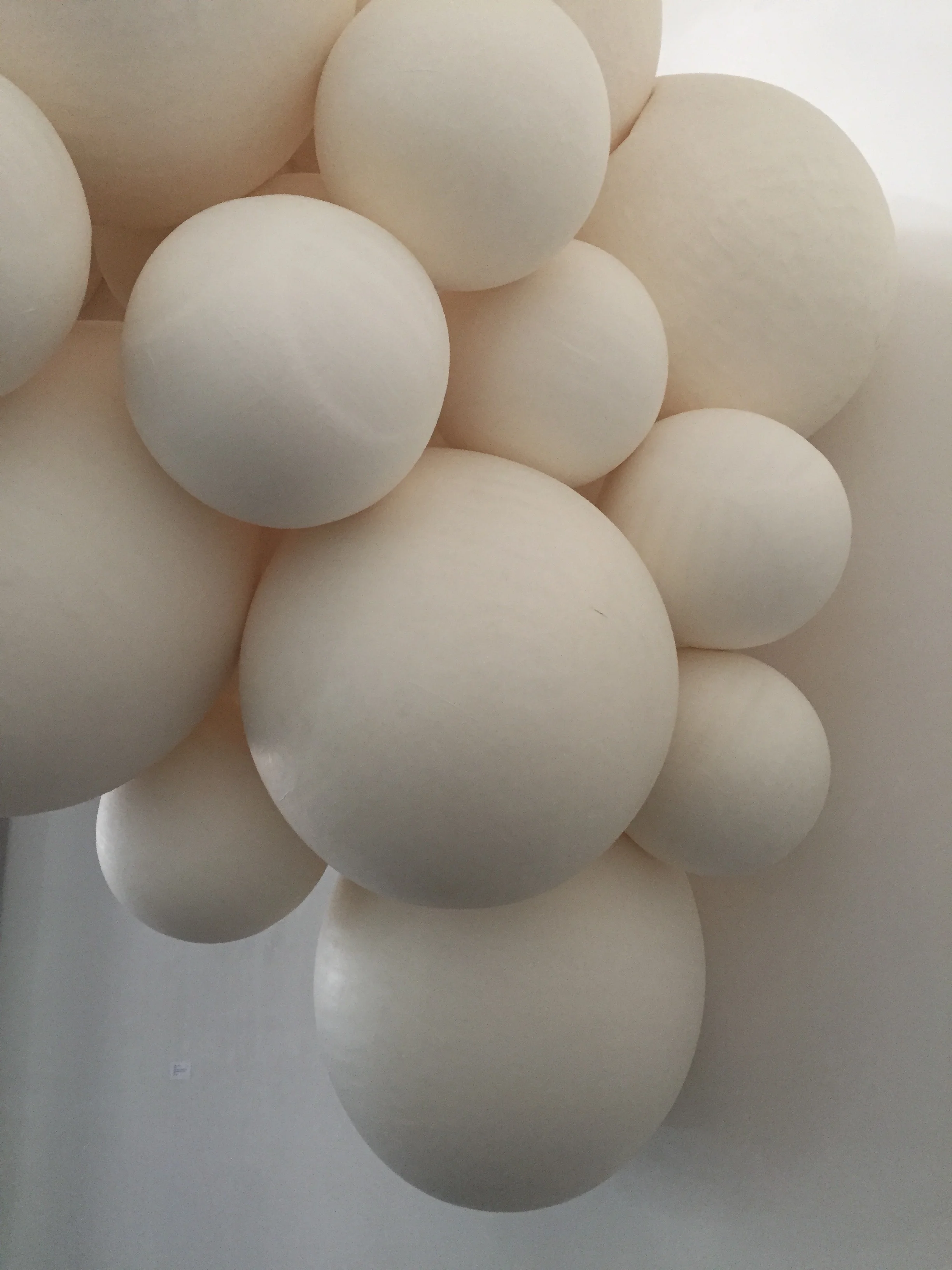 Potent (detail)