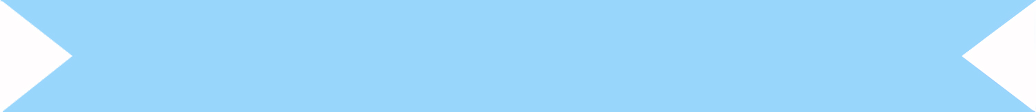 blauw-vlak-banner3.jpg