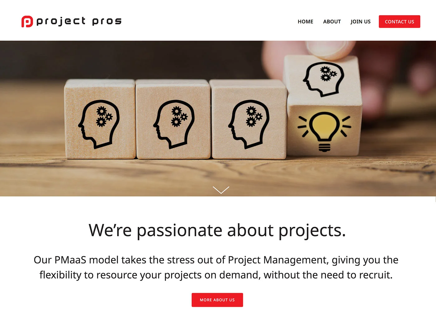 Project Pros