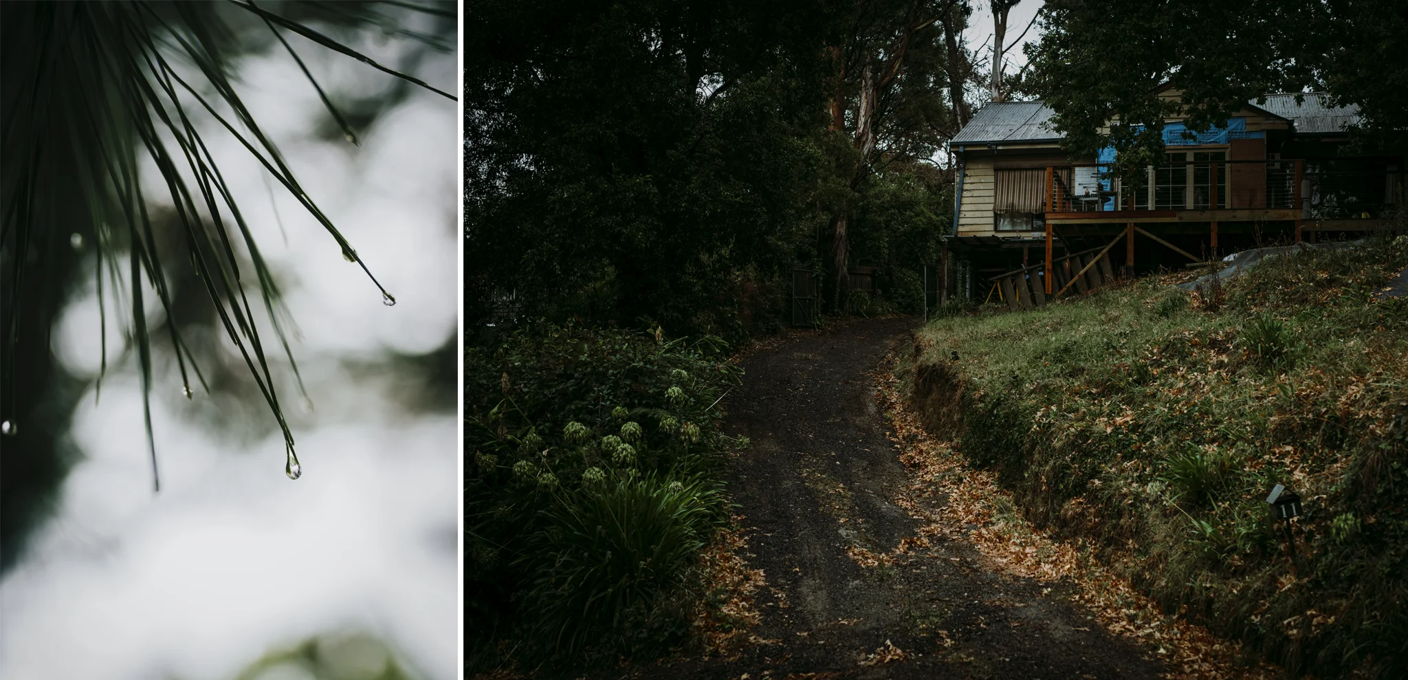 Bryllupsfotograf i Bergen_utendørs seremoni_seremoni i skog_utebryllup