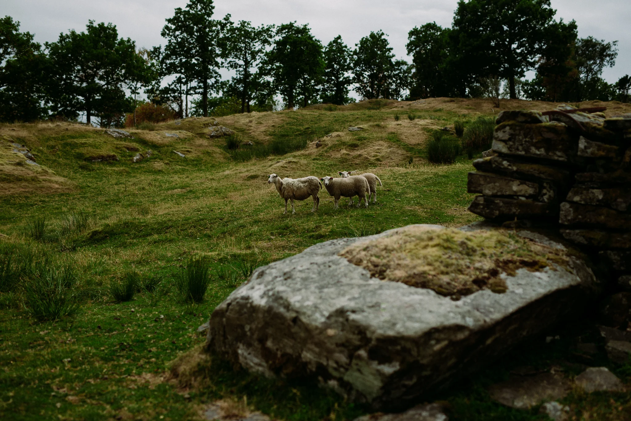 Bryllup-løen-på-sunde-bryllupsfotograf-Stavanger-Lofoten-Bergen-Oslo-42.jpg