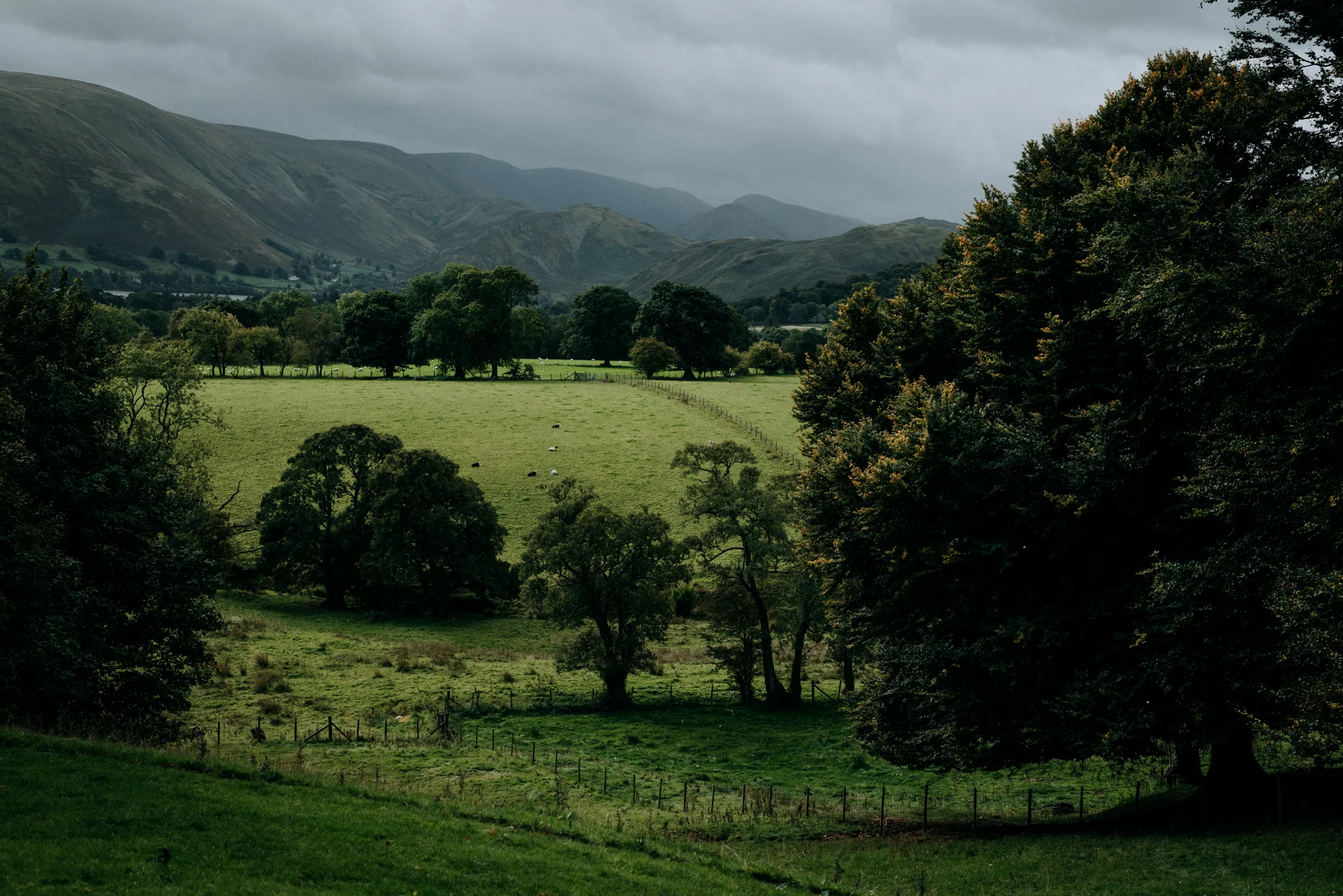 Another Place Lake District Wedding.jpg