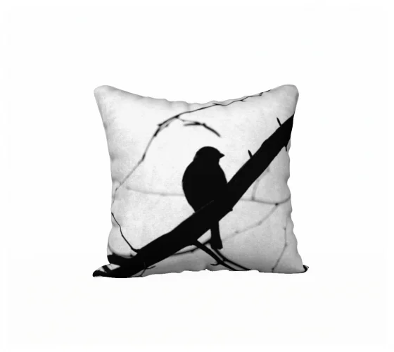 The Diagonal Bird.jpg