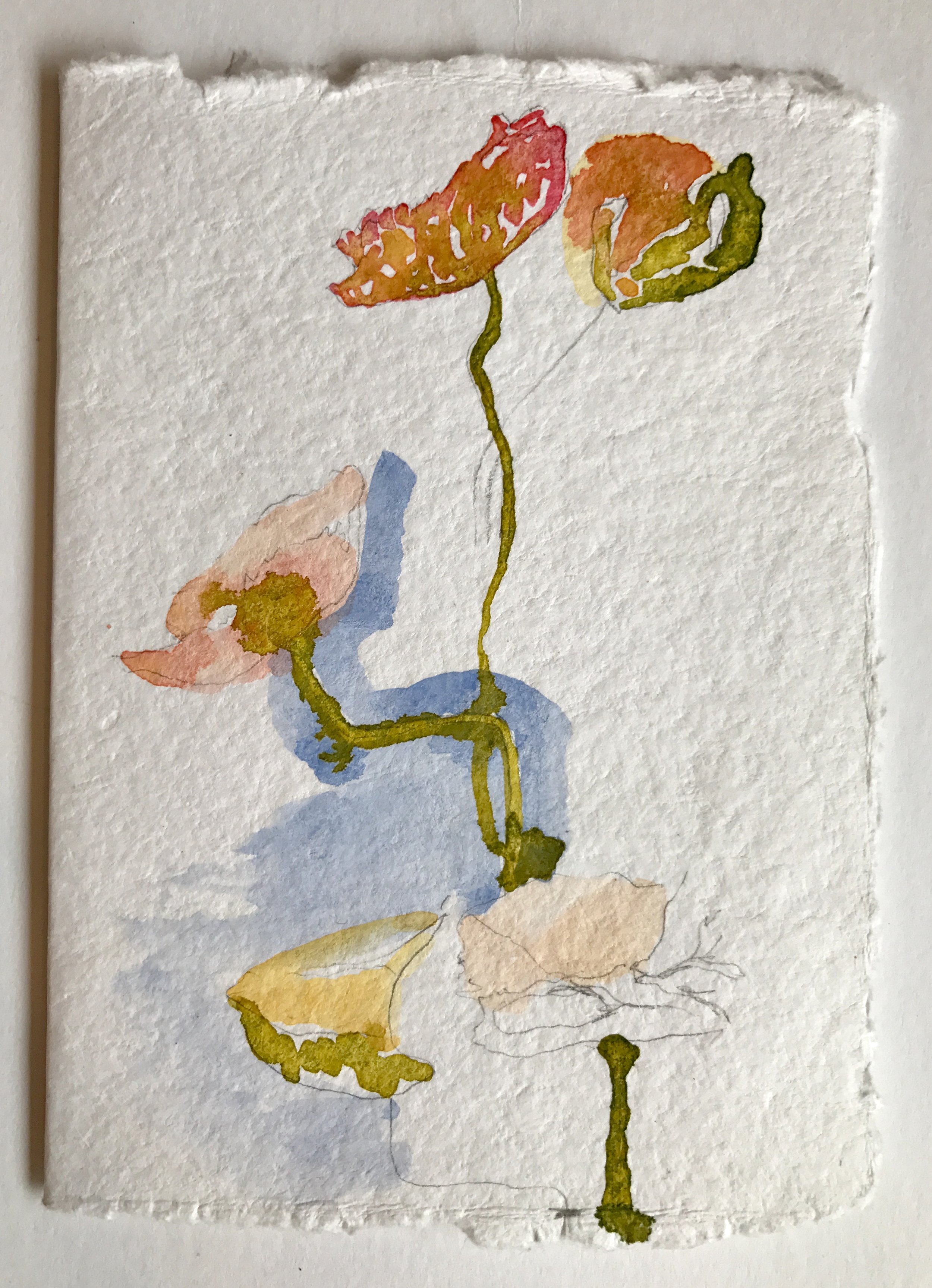  Watercolor greeting card  7x5 inches  Private Collection 