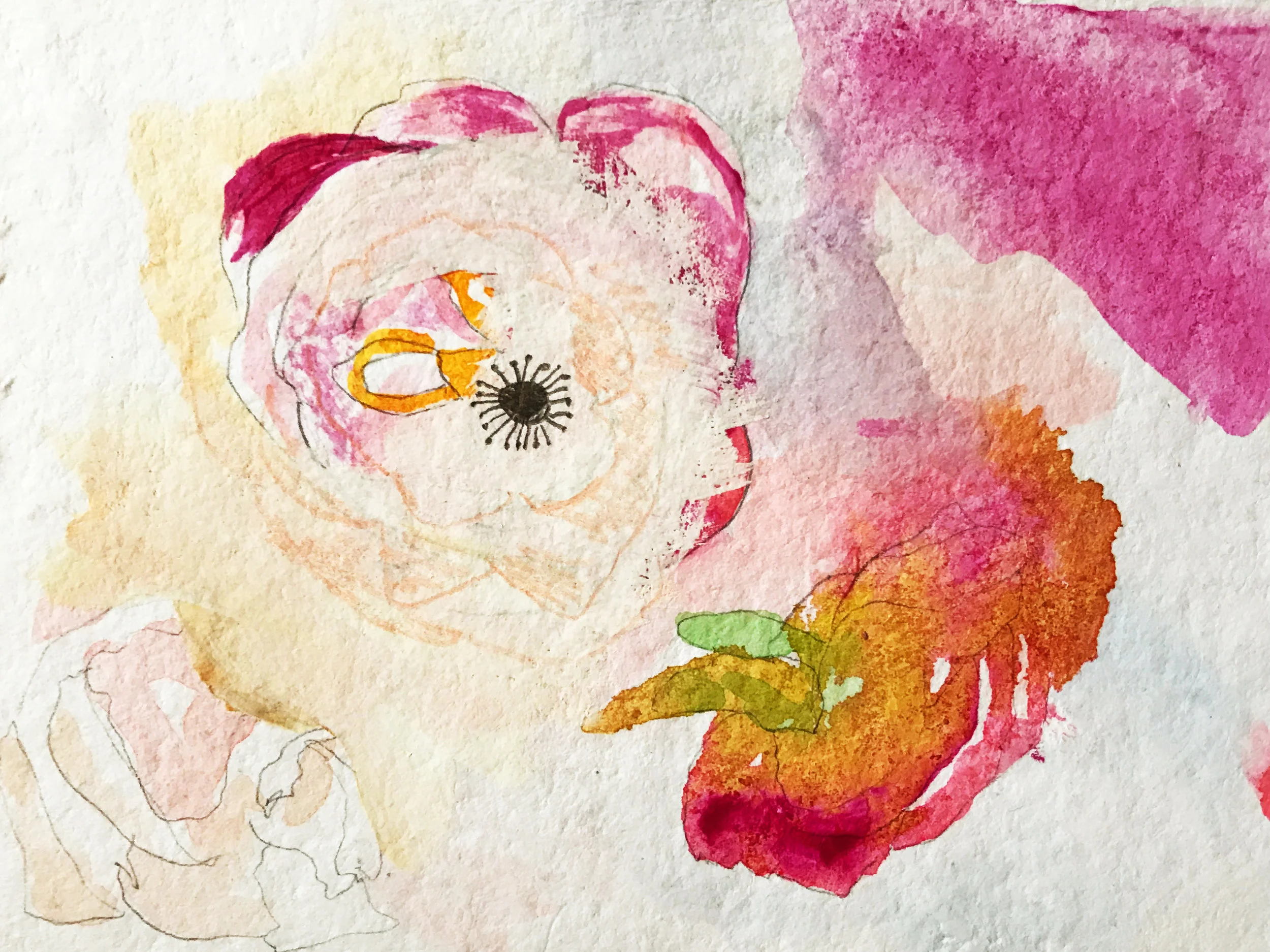 5 x 7 inches Watercolor and graphite 2017
