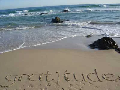 Gratitude inspiration from Oprah and Brene