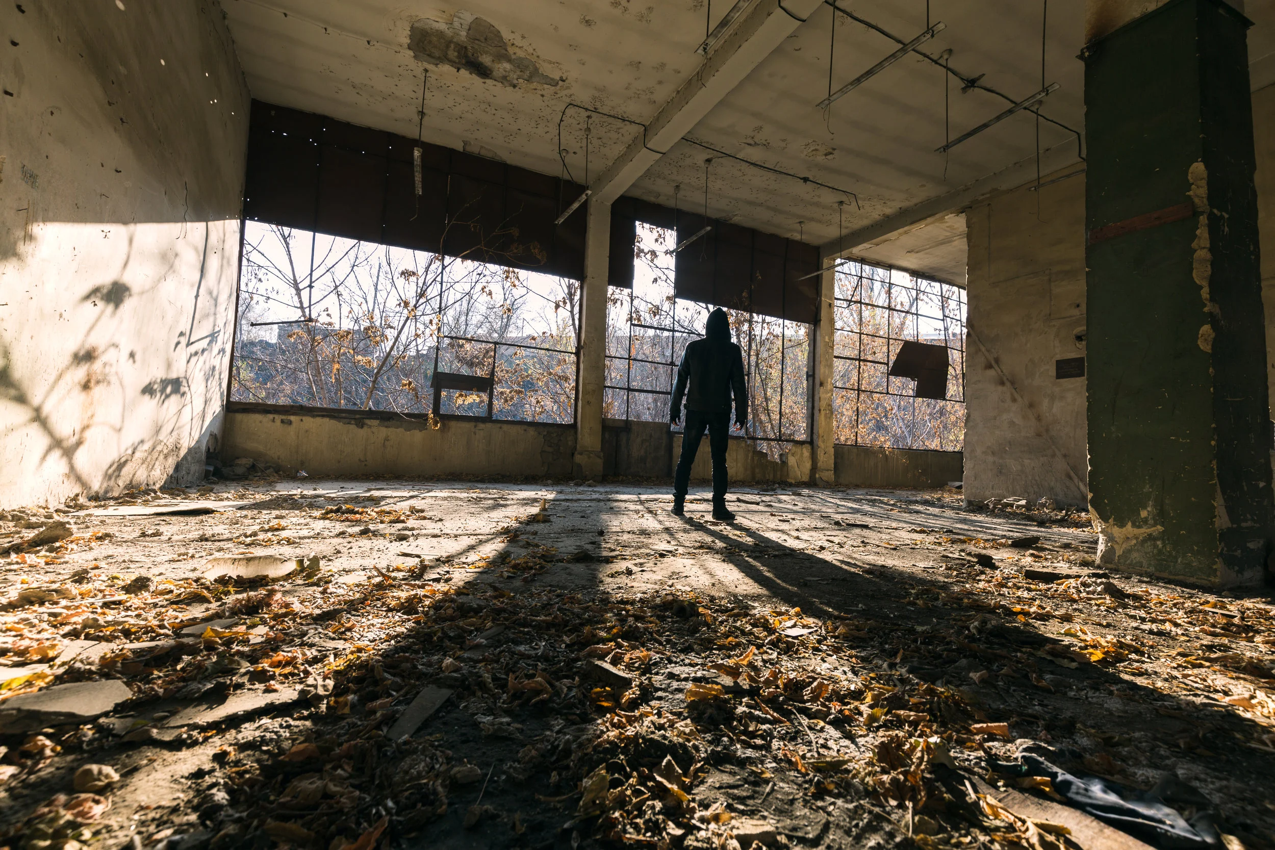 Looking Into the Light 