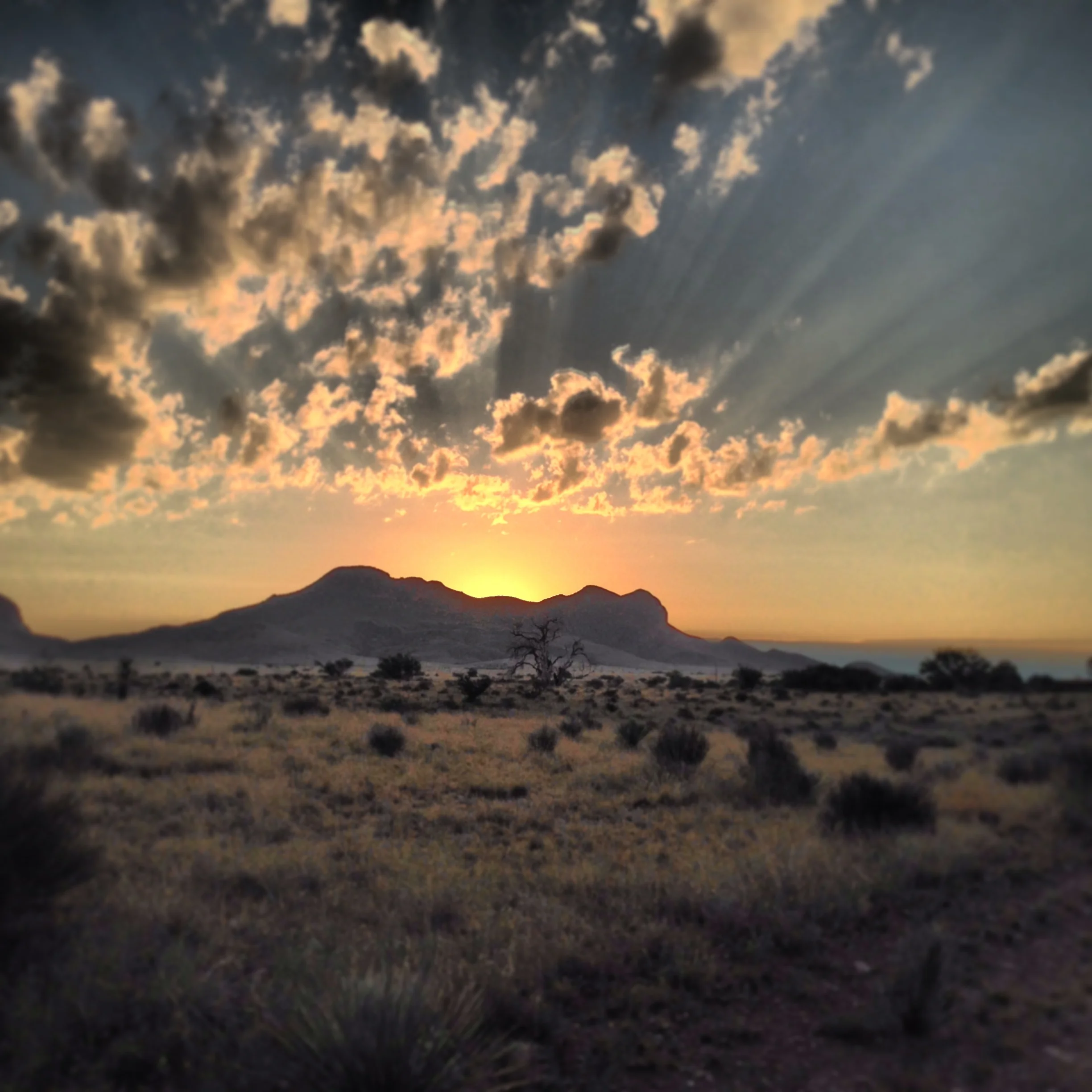 sunrise.jpg