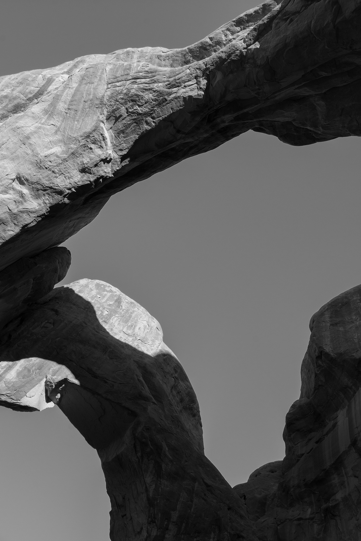 Double Portrait Resized.jpg