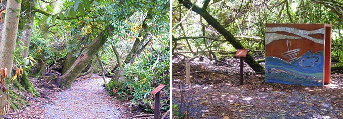 header_woodland.jpg