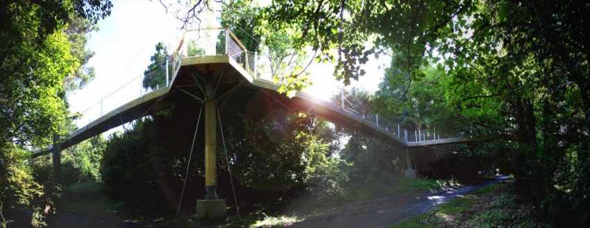 tree canopy walk.jpg