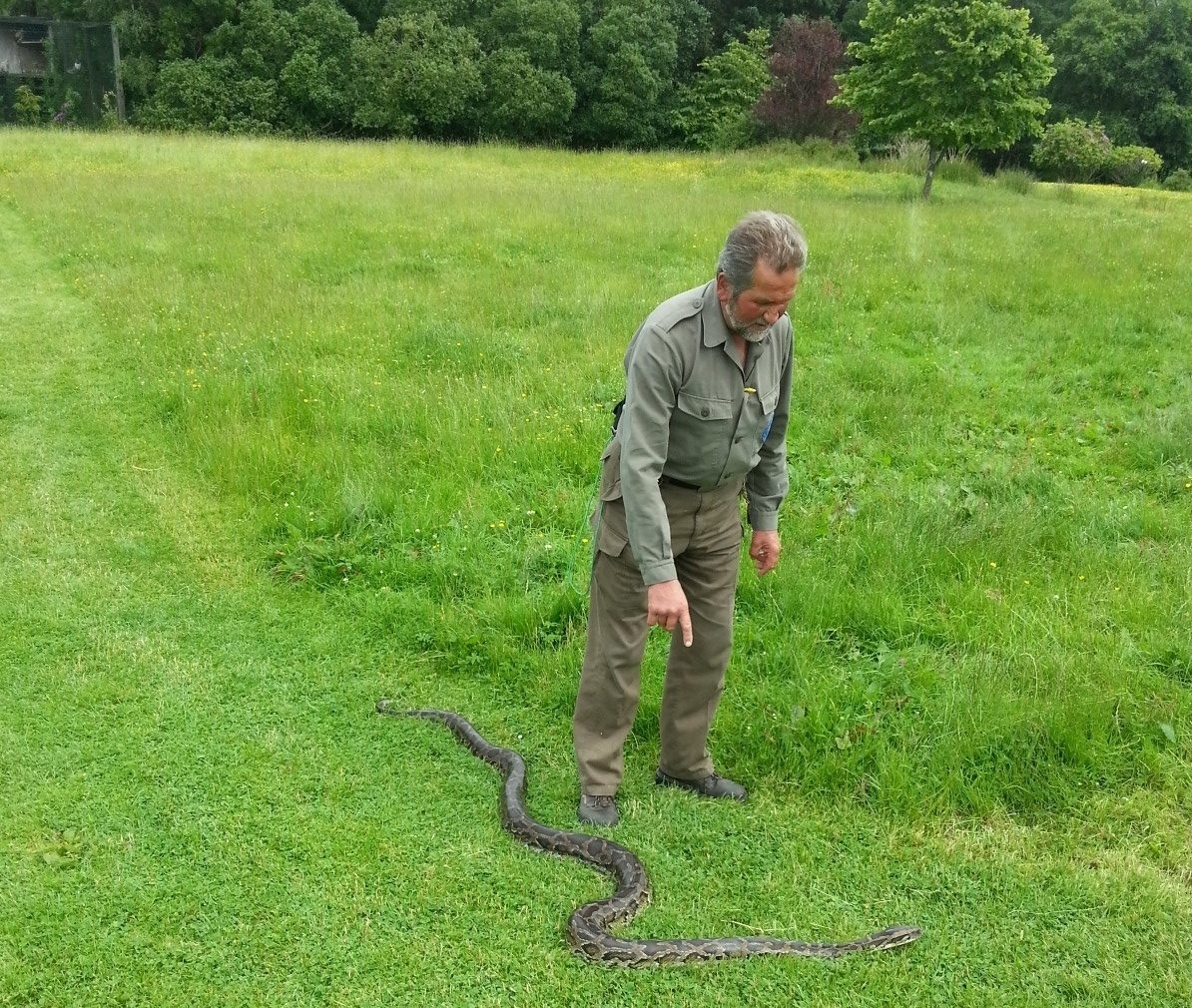 snake.jpg