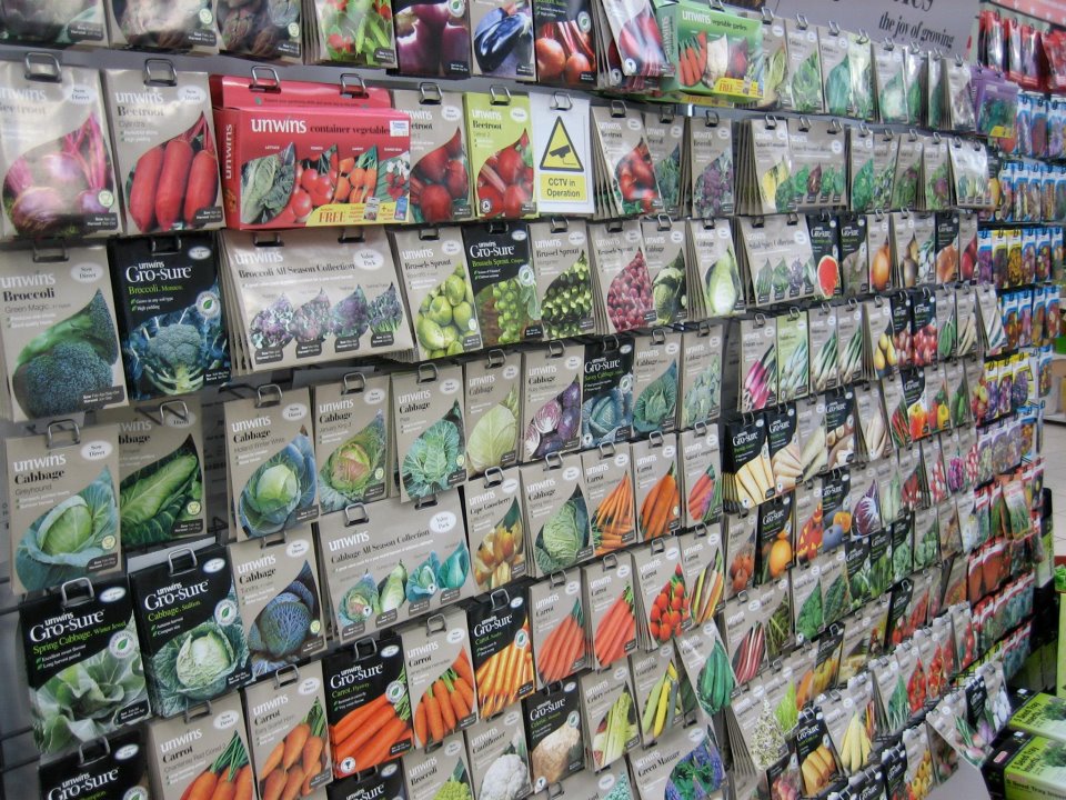 seeds to grow.jpg