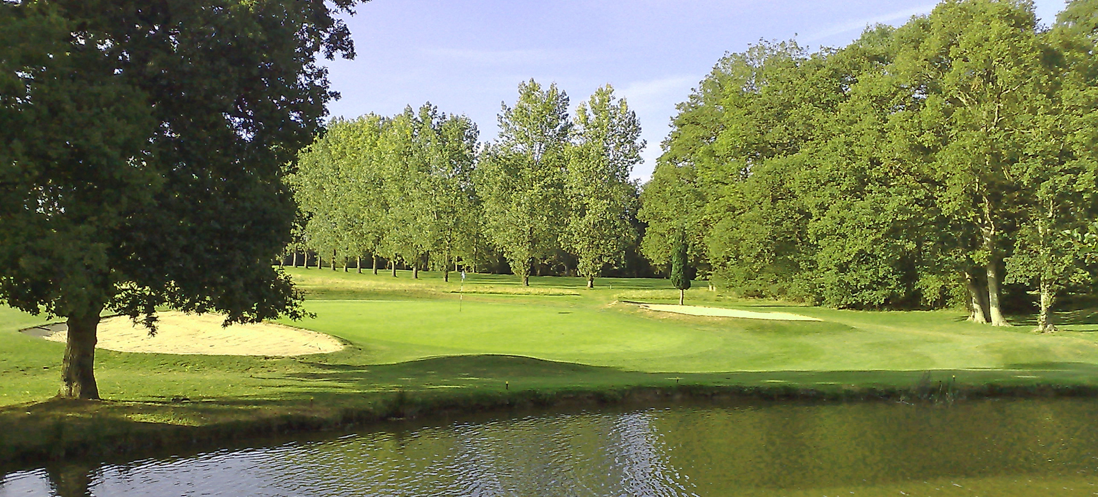 greens and bunkers