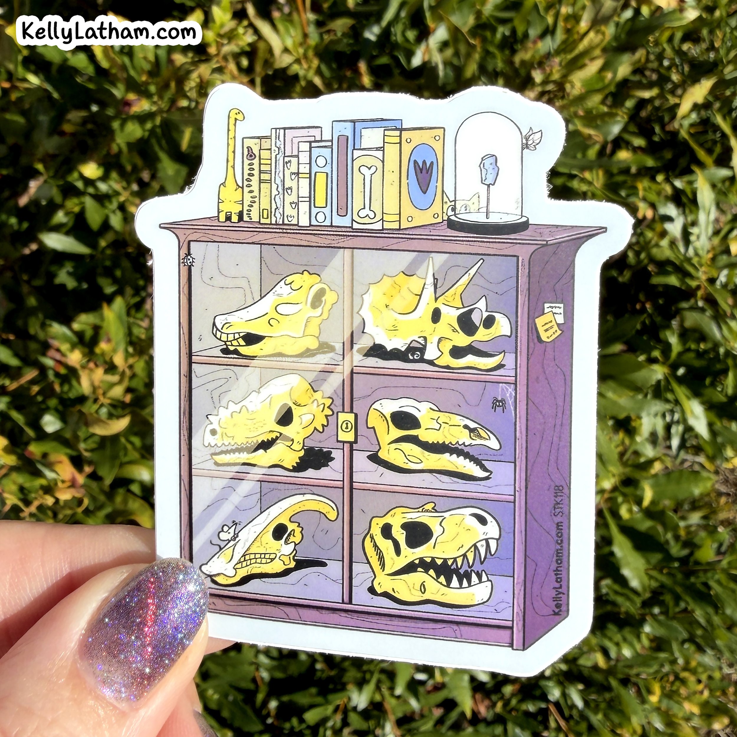 DinoSkullCabinet-Sticker-Photo-4.jpg
