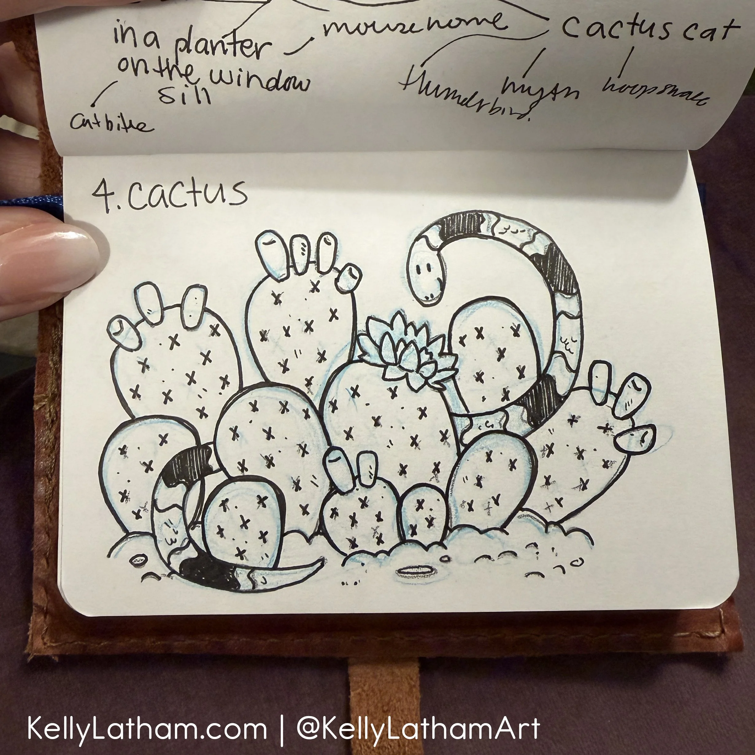 4 cactus.JPG