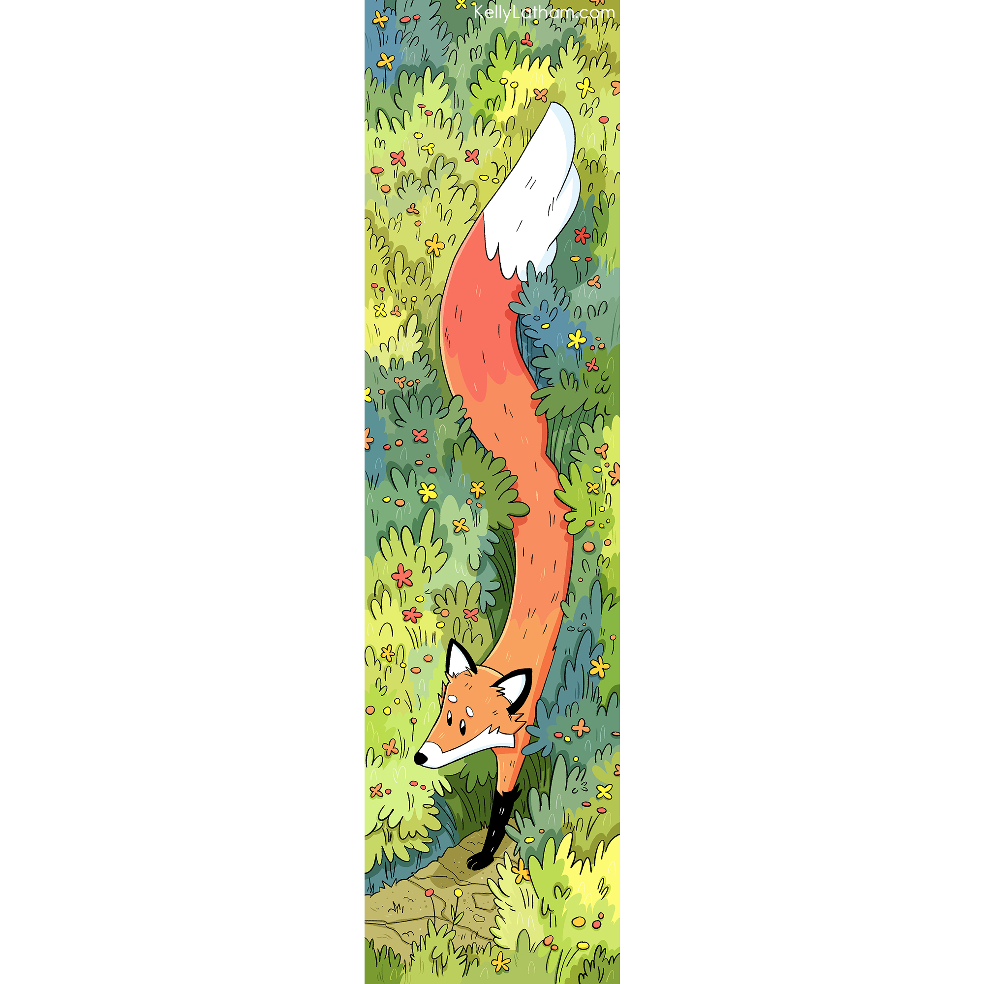 Red Fox Wildgrass, 2025