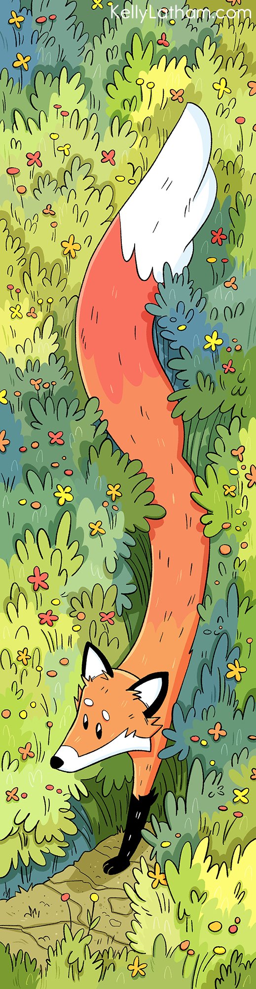 Red Fox Wildgrass, 2025