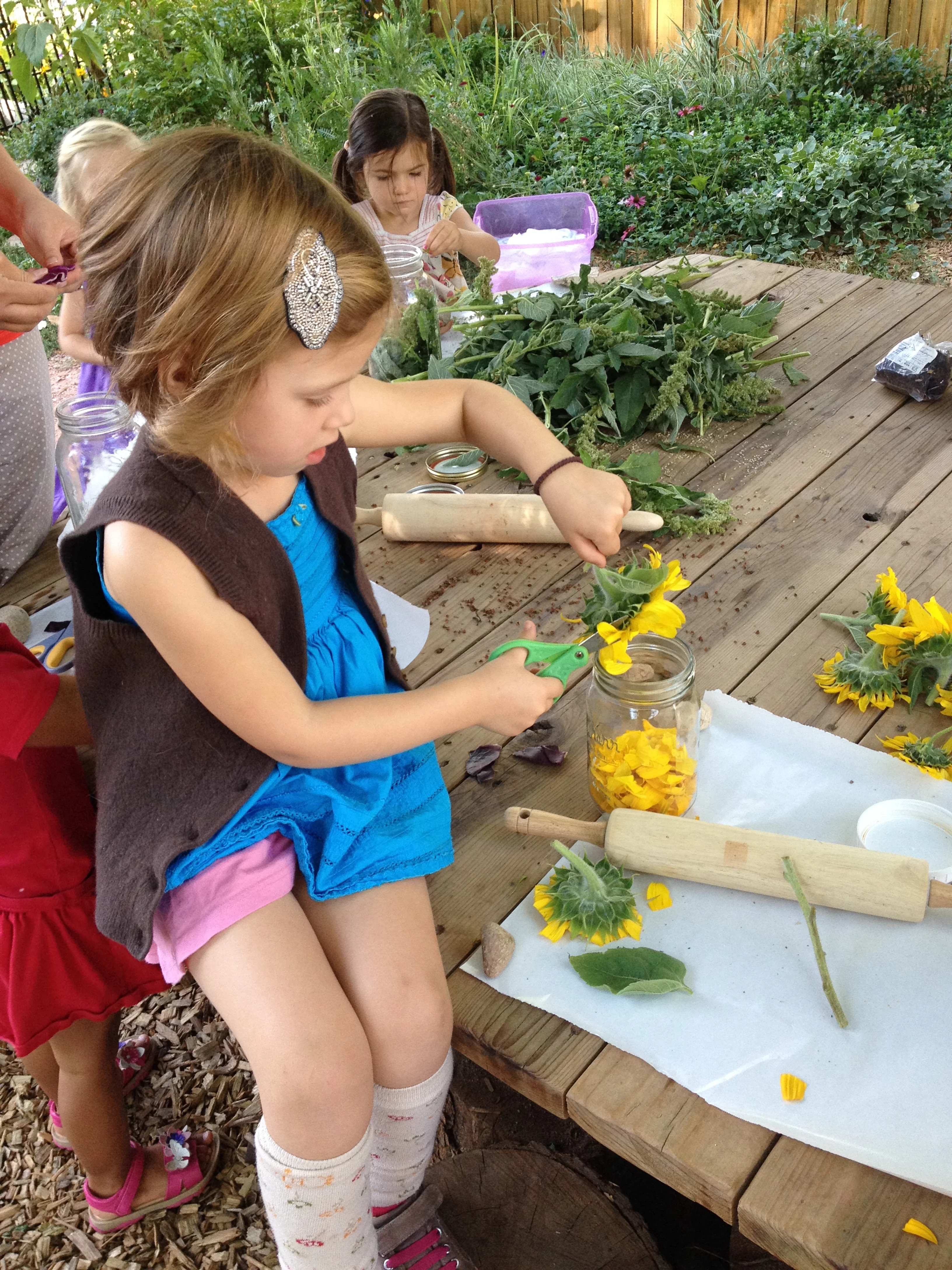 Crafting Botanical Dyes