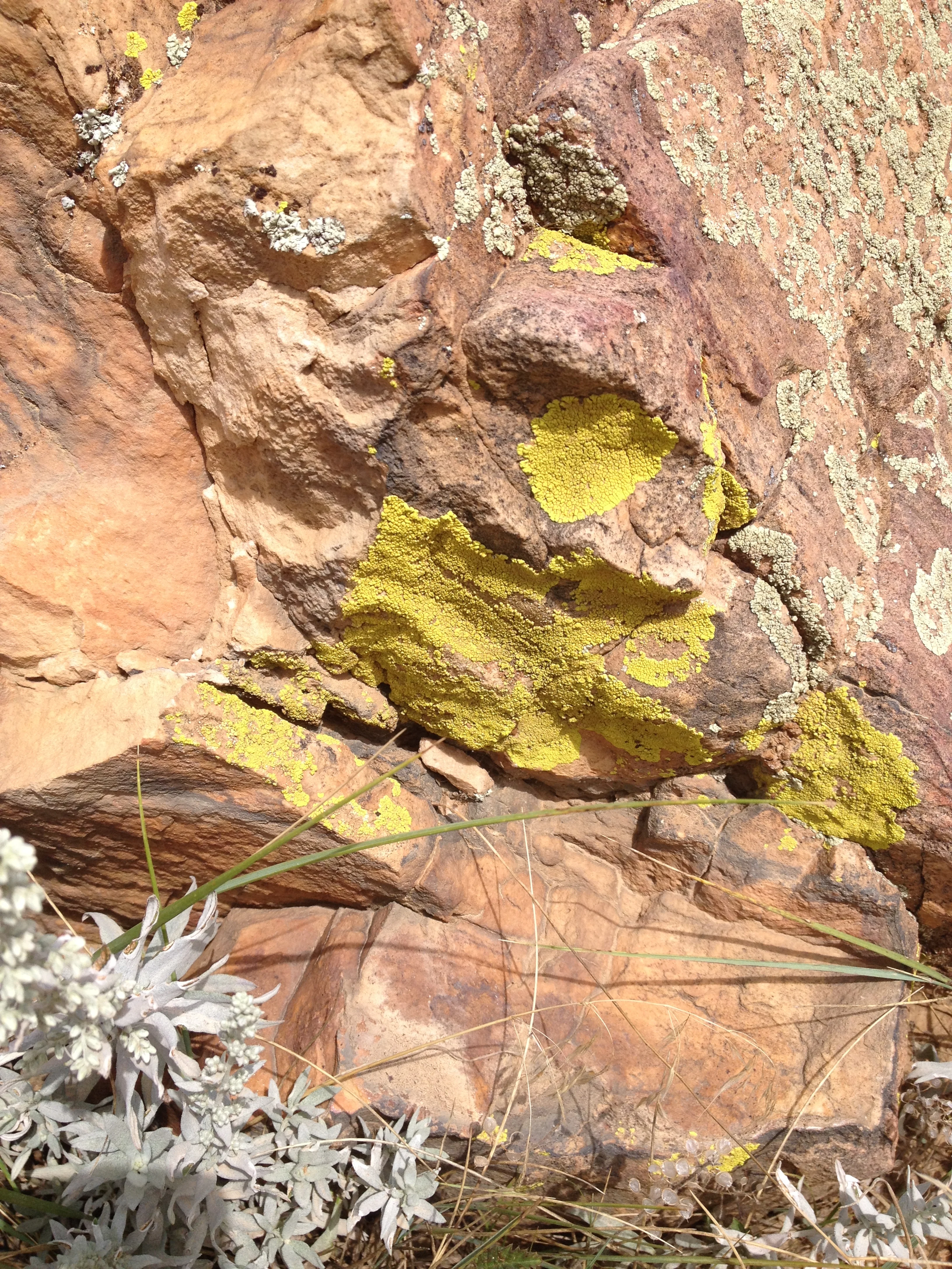 “Look deep into nature, and then you will understand everything better.” - Albert Einstein