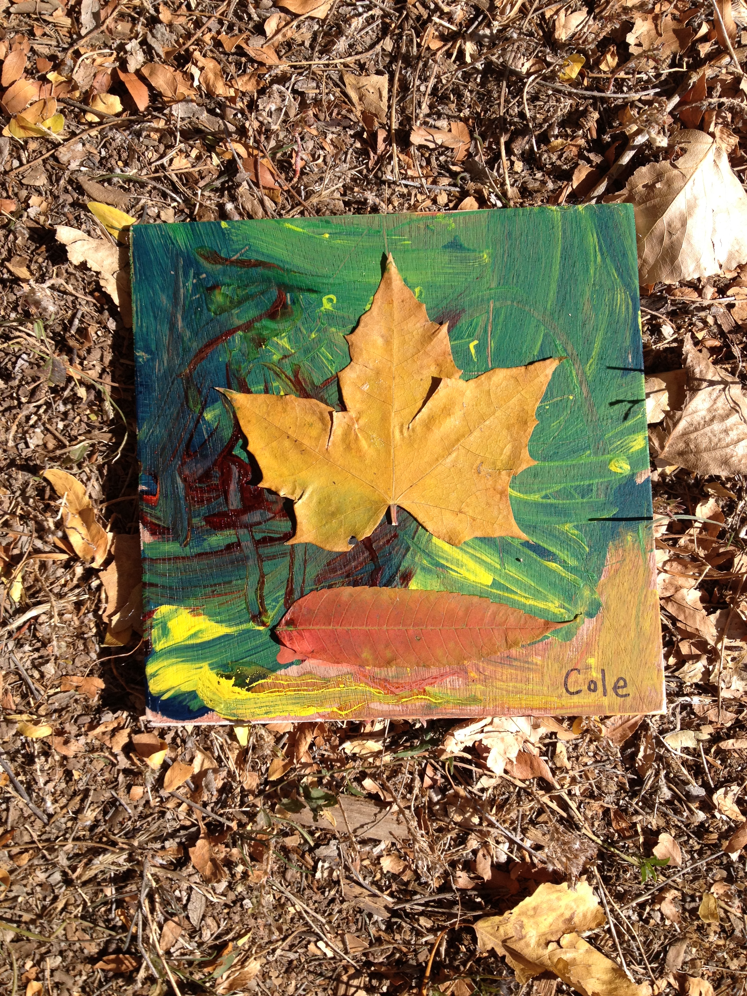 Celebrating The Beauty of Fall!