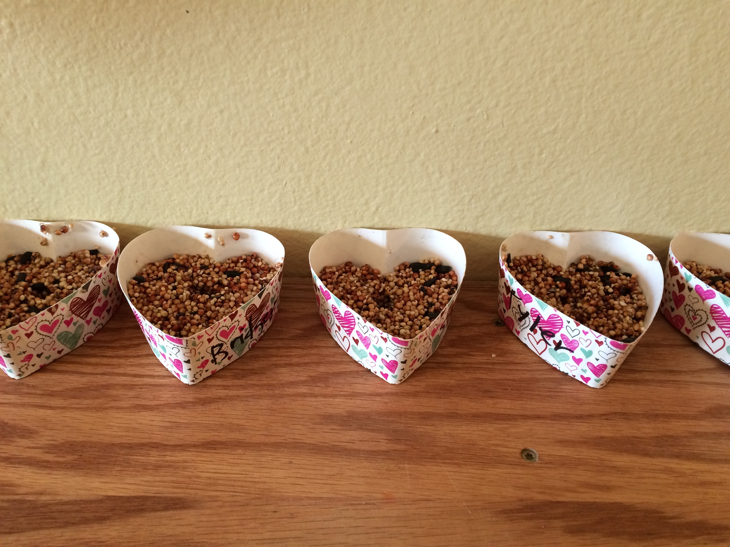 Birdseed Hearts